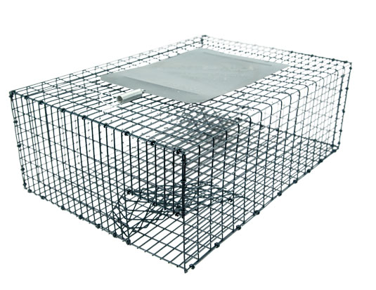 Kage All® Bird Trap Products