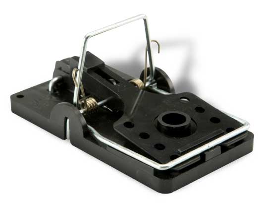 Learn more about the features of the Big
										Snap-E® rat trap