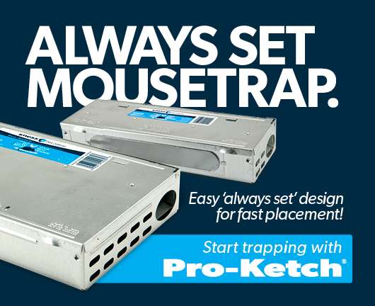 Pro-Ketch Multiple Catch Mousetrap