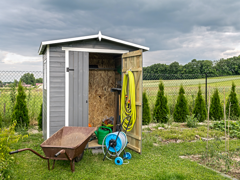 How To Keep Your Garden Shed Pest-Free