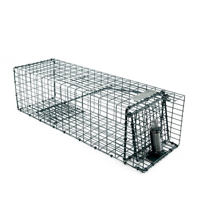 Humane Live Animal Trap Cage,Catch and Release Rabbits,Squirrel, Raccoon  and