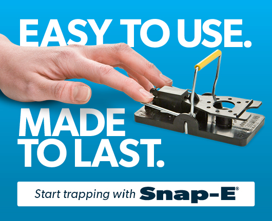 Snap-E Mousetrap