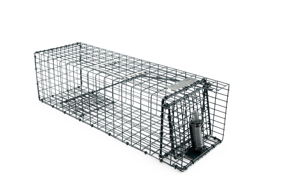 Kage-All Small Animal Trap